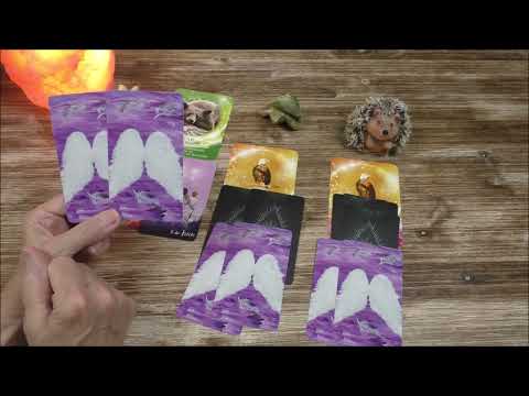 🌞Wochenorakel für Liebe, Beruf und Finanzen vom 10.  bis 16.  Juli 2023