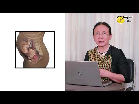 Week by Week Program-week 36