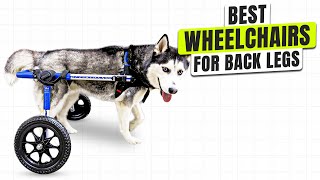 3 BEST Dog Wheelchair for Back Legs