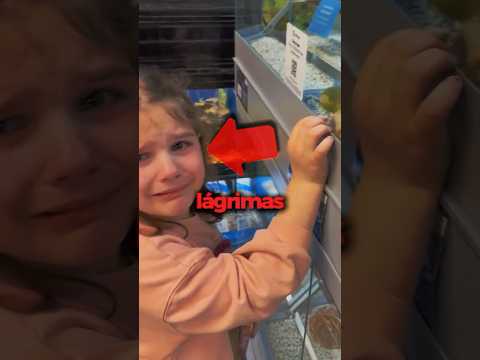 Ela encontrou seu Pássaro Perdido em uma LOJA! 😮#shorts #passaros #pets