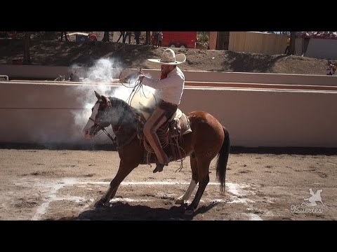 1st place PIALES - Juan Pablo Franco - Los Tres Toños, Nayarit 2017