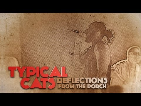 TYPICAL CATS - Reflections From The Porch | Official Music Video