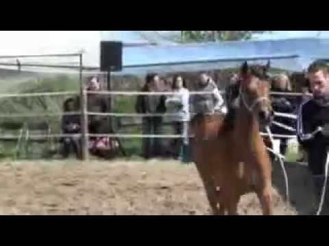 AA Revive el Shaklan