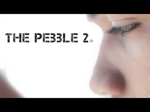 The Pebble 2
