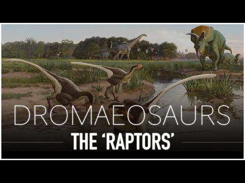 Dromaeosaurs: The Strange Carnivores of The Mesozoic Era | Dinosaur Documentary