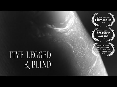 Five Legged and Blind