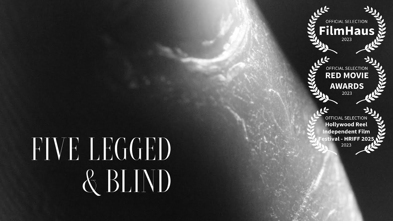 Five Legged and Blind