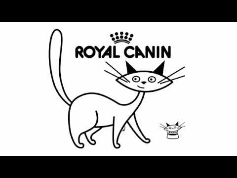 Royal Canin: Vet Diet Calm Case Study