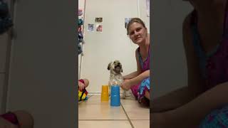 Cup song with two people tutorial