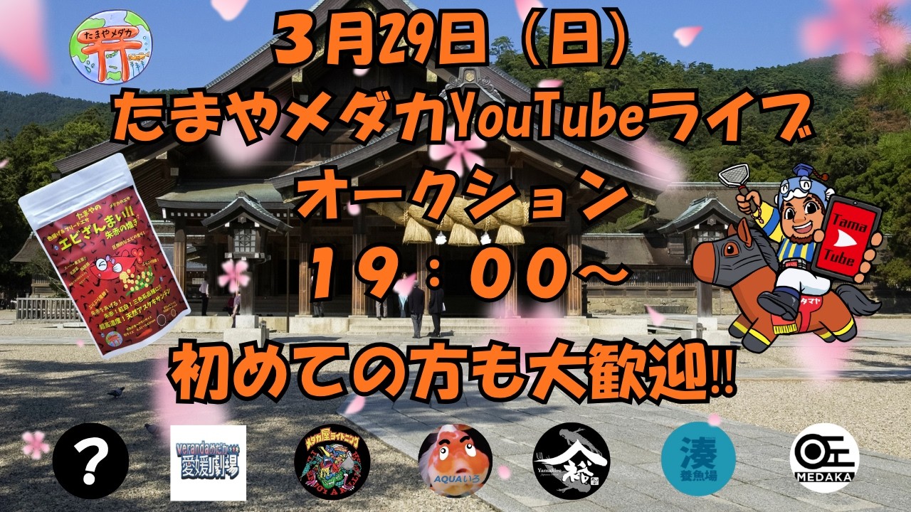 ３月２９日（日）　ライブオークション