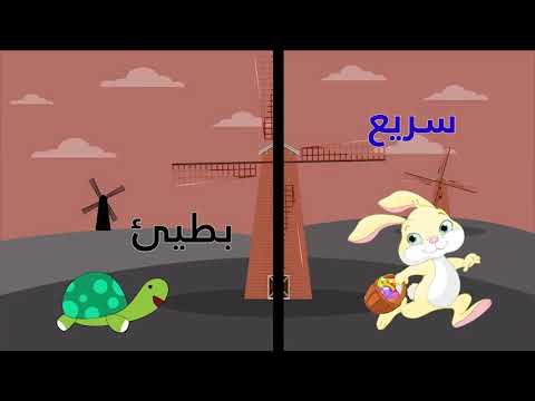 الأضداد للأطفال | تعليم المفردات وعكسها باللغة العربية | تعلم الكلمات وعكسها باللغة العربية