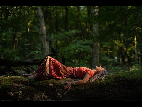 Відеограф, відео 3