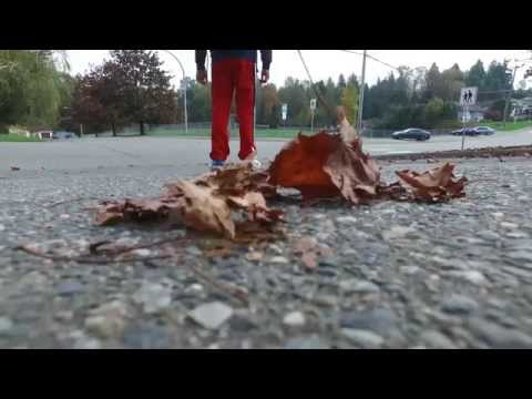 33388 BABICH PLACE, ABBOTSFORD BC $459,000!