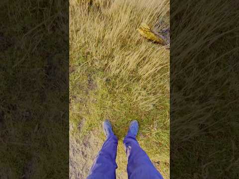 Loenermark #solohiking #silenthiking #loenermark #veluwe #thenetherlands