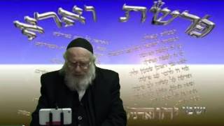 פרשת וארא למה צריך לכבד מלך