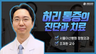 허리통증의 진단과 치료 미리보기