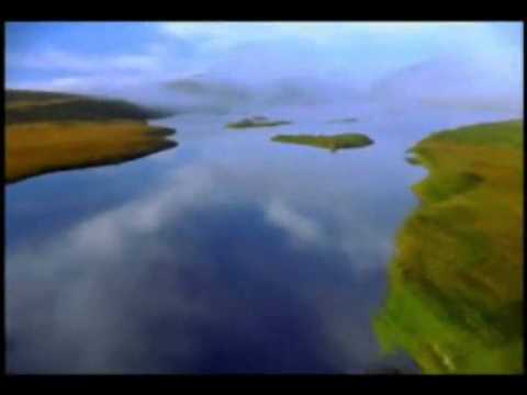 D-Emotion Project -  Svoboda