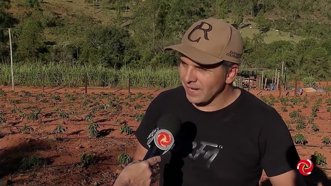 Apresentador da TV Alterosa revolveu plantar café