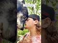 Man And His Wolf Best Friends