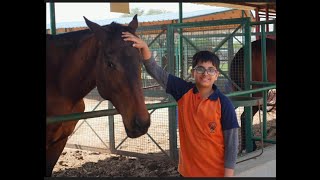 Mayoor School Video