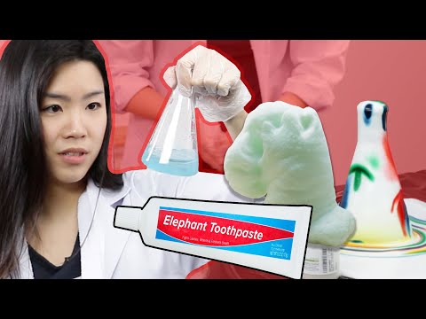 人們嘗試製作大象牙膏，卻沒有說明。 (People Try Making Elephant Toothpaste With No Instructions)