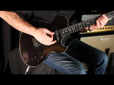 Guitar 14 - Ted Newman Jones, Austin Special, 1989 - Lance Keltner