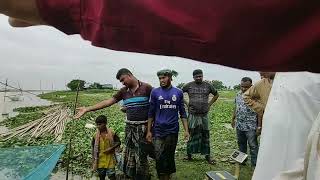 জগন্নাথপুর উপজেলার নলজুর নদীতে পোনামাছ অবমুক্তকরণ