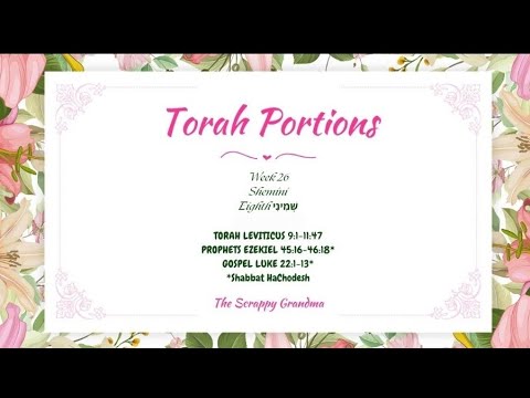 Torah Portions week 26 Shemini שְּׁמִינִי Eighth