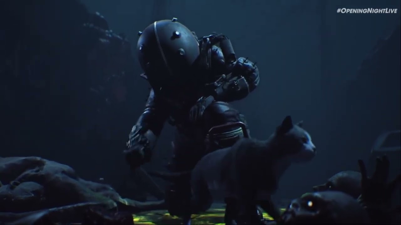 YouTube video: YouTube video player