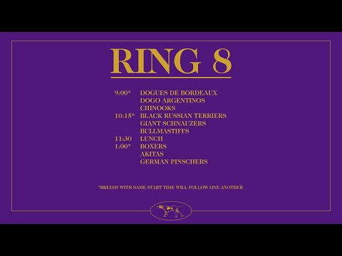 Chinooks | Breed Judging 2026