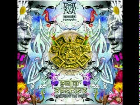 Psilocybe Project Vs. D-Maniac - It Will Not Stop