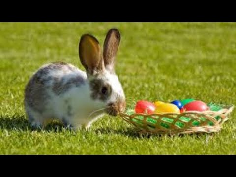 Evas Winzerinnen Sprechstunde - Ostern Spezial