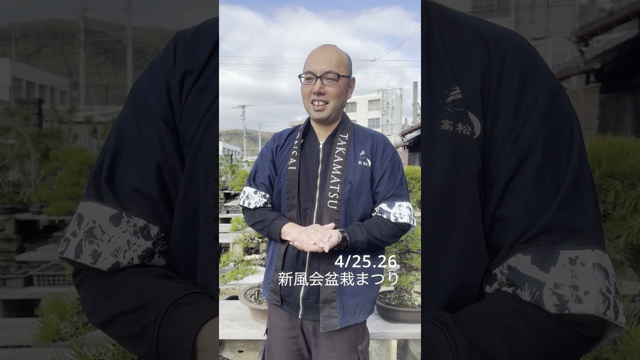 盆栽オークション開催！新風会盆栽まつり｜4/25-26 北谷養盛園