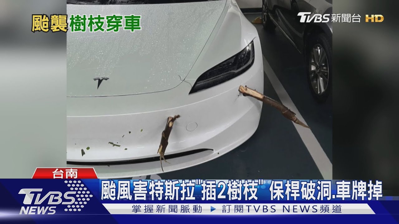 颱風天特斯拉國道撞異物！保險桿插樹枝「破2洞」　車牌也飛了
