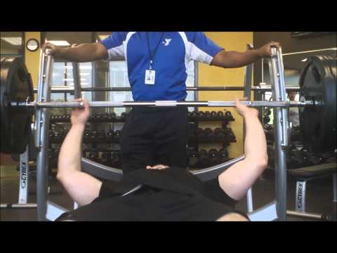 BajheeraIRL - Push Day, Motivation Discussion, Doing Great! :D