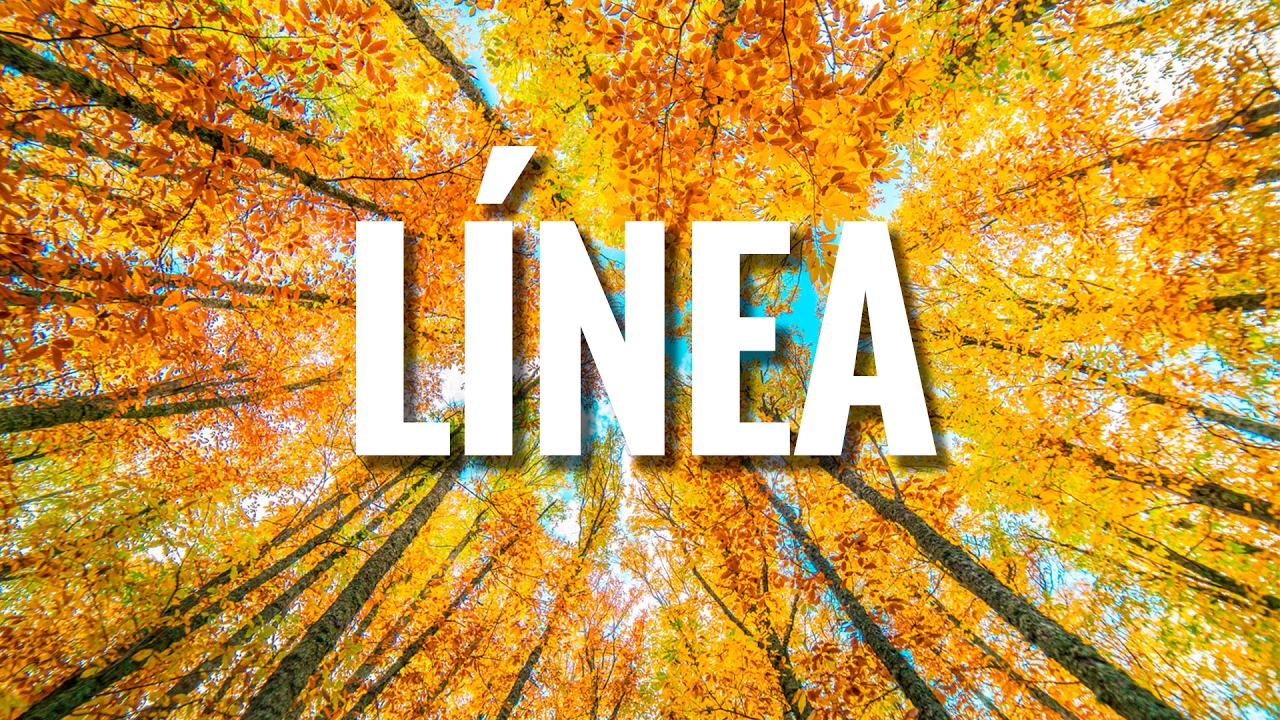 COMPOSICIÓN FOTOGRÁFICA -  La LÍNEA