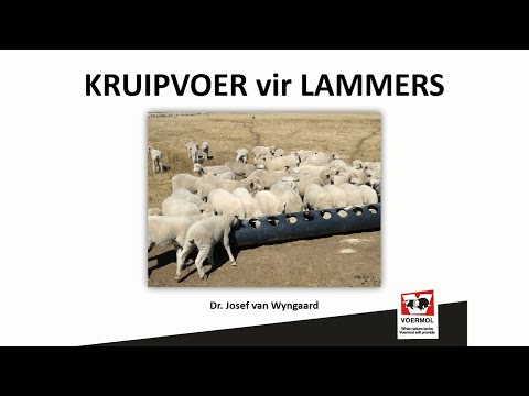 , title : 'VOERMOL: Kruipvoer vir Lammers - Dr Josef van Wyngaard'