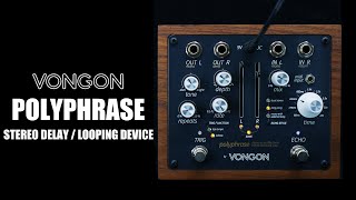 Video thumbnail for Vongon Polyphrase Stereo Delay & Looping Device | Demo by Doug Hanson