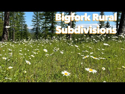 Bigfork Craigslist