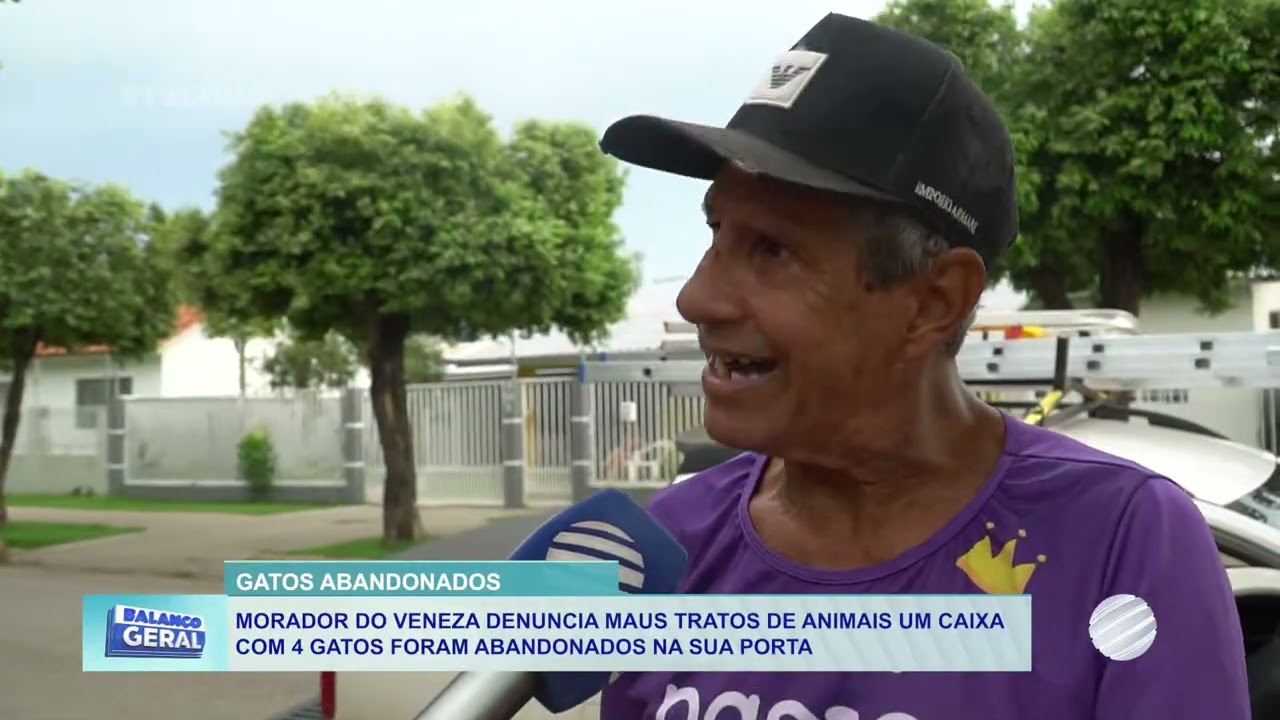 Morador denuncia abandono de gatos no bairro Veneza em Lucas do Rio Verde