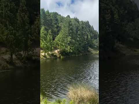 Pantano Grande, Pesca - Boyacá, Colombia.!! #colombia #mtb