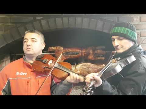 KOD MARKA LAZAREVICA 2017 MARKO I BENCO