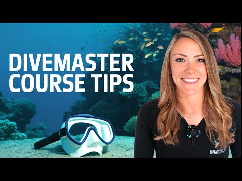What I Wish I Knew Before Becoming a Divemaster!