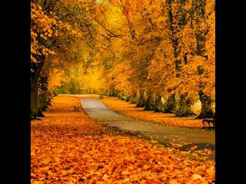 Ro-Perima - Randuri din Ganduri (freestyle)