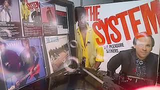 the system the pleasure seekers: love won't wait for loving. check description for info