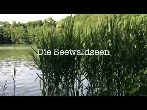 Badeseen im Landkreis Ludwigsburg: Die Seewaldseen
