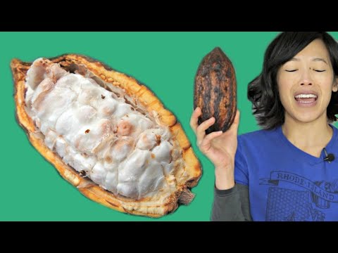 COCOA POD -- How to Open & Eat a Cacao Pod -- Fruity Fruits