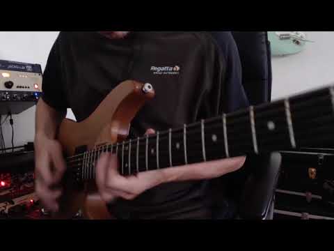 Washburn N4 1996 USA with Bill'n'Becky bridge pickup image 21