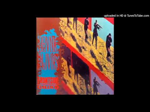 Drunk Injuns ‎- They Walked In Line