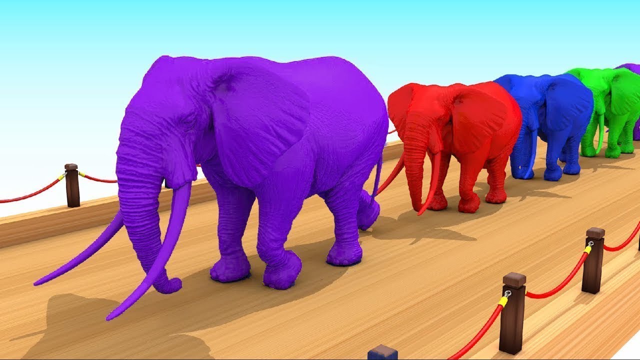 Belajar warna dengan binatang lucu | Belajar Mengenal Hewan Hewan Peternakan Untuk Anak-Anak